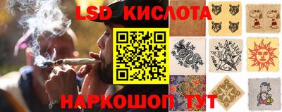 стафф Лесосибирск