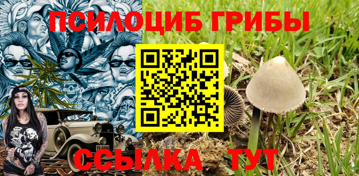Галлюциногенные грибы Cubensis  Псилоцибиновые грибы MAGIC MUSHROOMS  Жуковский  Вход с VPN 