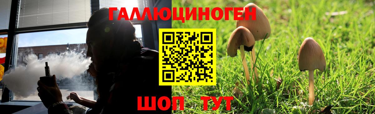Галлюциногенные грибы мухоморы Жуковский